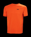 náhled Pánské tričko Helly Hansen HP OCEAN T-SHIRT 2.0