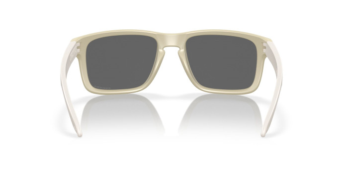 detail Oakley HOLBROOK