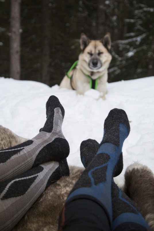 detail Ulvang Podkolenky Alpine